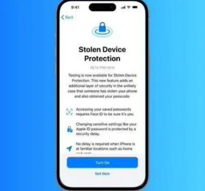 丹棱苹果授权维修店分享被盗设备保护功能开启方法 