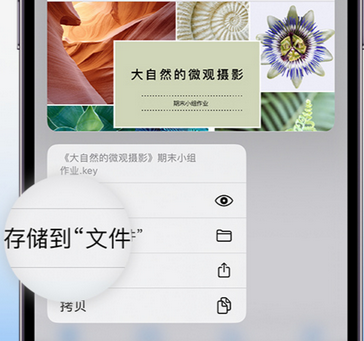 丹棱apple维修中心分享iPhone文件应用中存储和找到下载文件