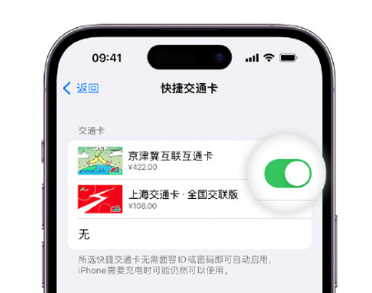 丹棱apple维修点分享iPhone上更换Apple Pay快捷交通卡手绘卡面 