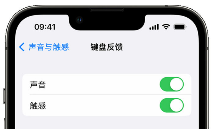 丹棱苹果手机维修分享iPhone 14触感键盘使用方法 