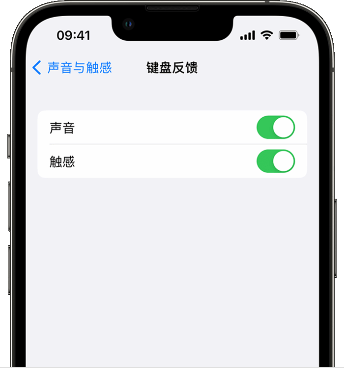 丹棱苹果14维修店分享如何在 iPhone 14 机型中使用触感键盘 