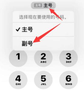 丹棱苹果14维修店分享iPhone 14 Pro Max使用副卡打电话的方法 