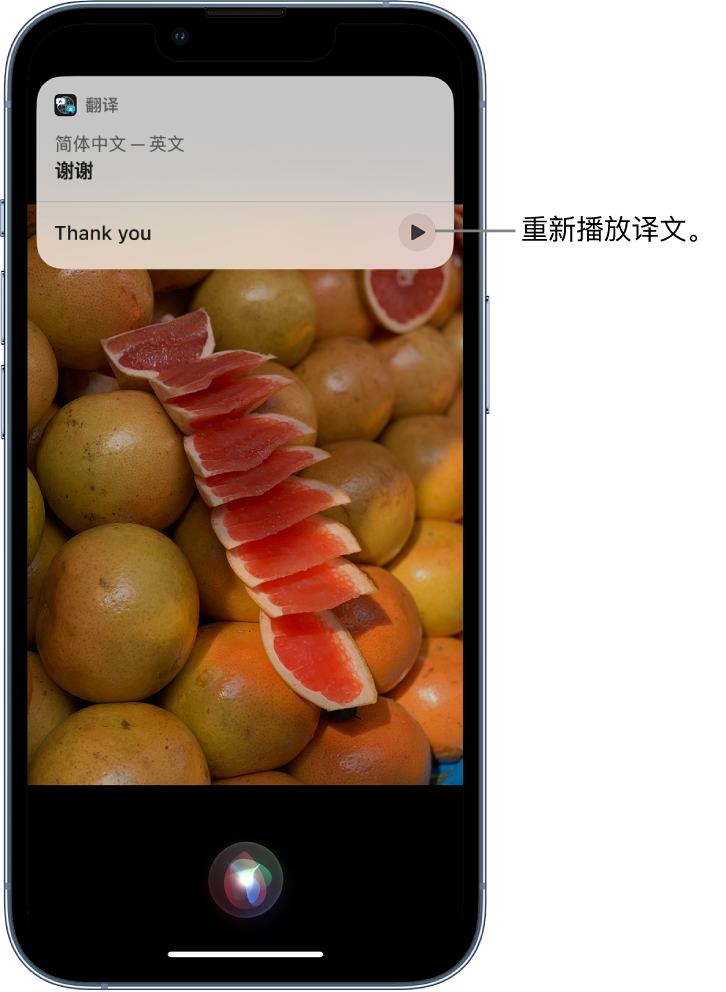 丹棱苹果14维修分享 iPhone 14 机型中使用 Siri：了解 Siri 能帮你做什么 