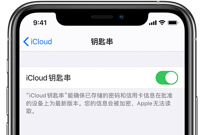 丹棱苹果手机维修分享在 iPhone 上开启 iCloud 钥匙串之后会储存哪些信息 