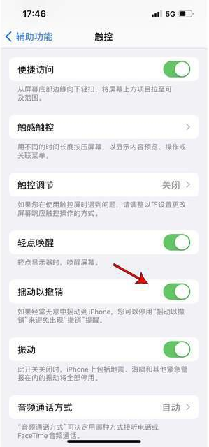 丹棱苹果手机维修分享iPhone手机如何设置摇一摇删除文字 